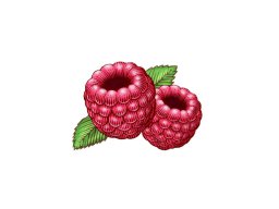 raspberries 2